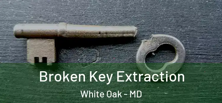 Broken Key Extraction White Oak - MD