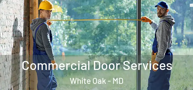 Commercial Door Services White Oak - MD