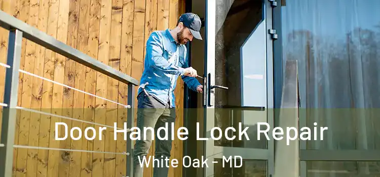 Door Handle Lock Repair White Oak - MD