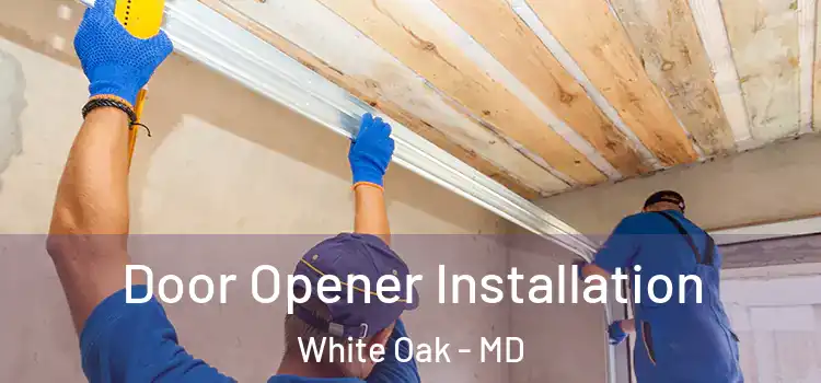  Door Opener Installation White Oak - MD