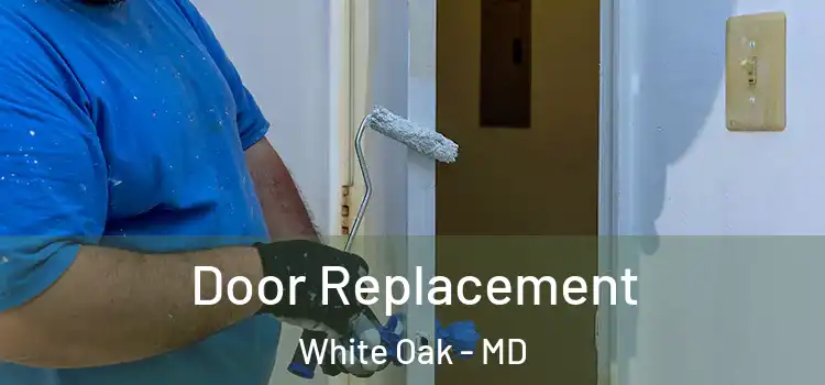Door Replacement White Oak - MD