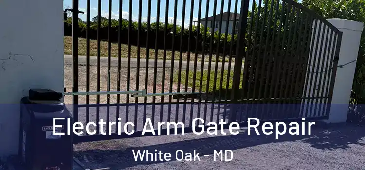 Electric Arm Gate Repair White Oak - MD