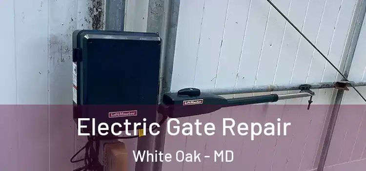 Electric Gate Repair White Oak - MD