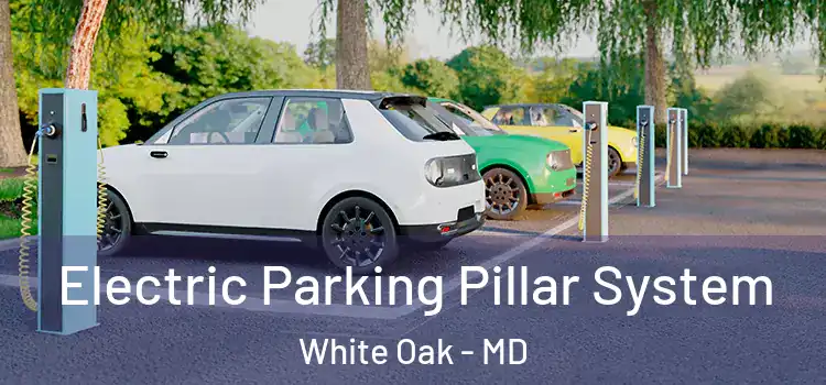 Electric Parking Pillar System White Oak - MD