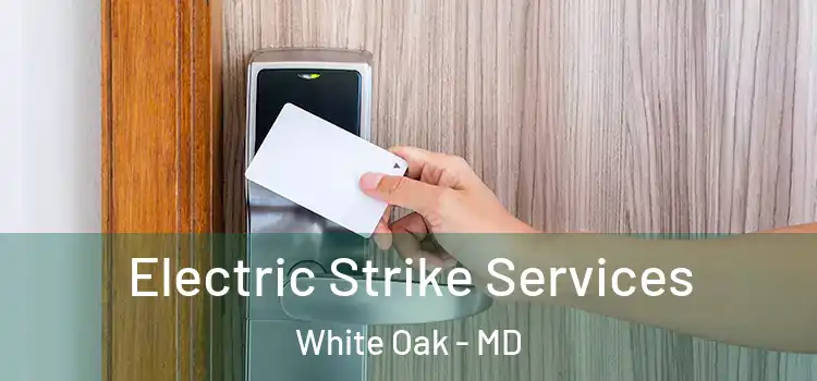 Electric Strike Services White Oak - MD
