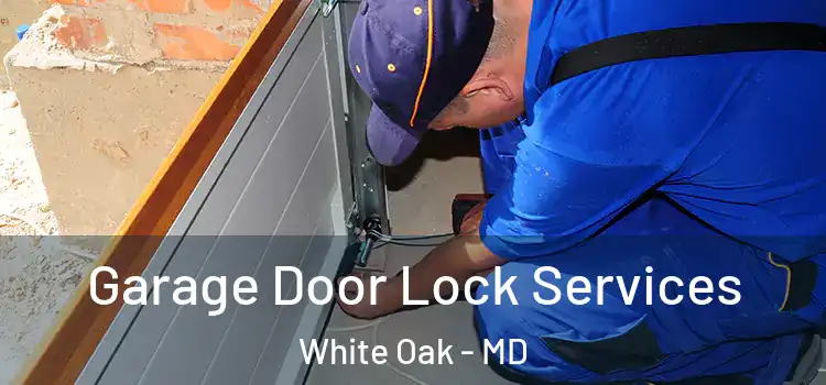 Garage Door Lock Services White Oak - MD