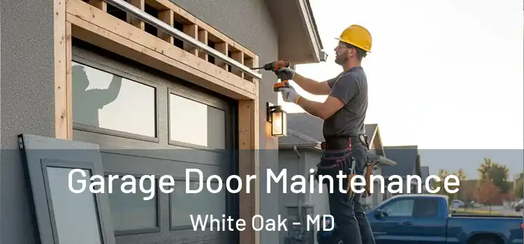 Garage Door Maintenance White Oak - MD