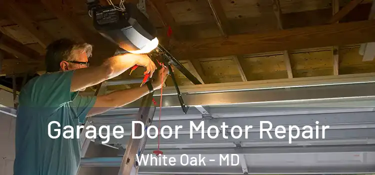  Garage Door Motor Repair White Oak - MD