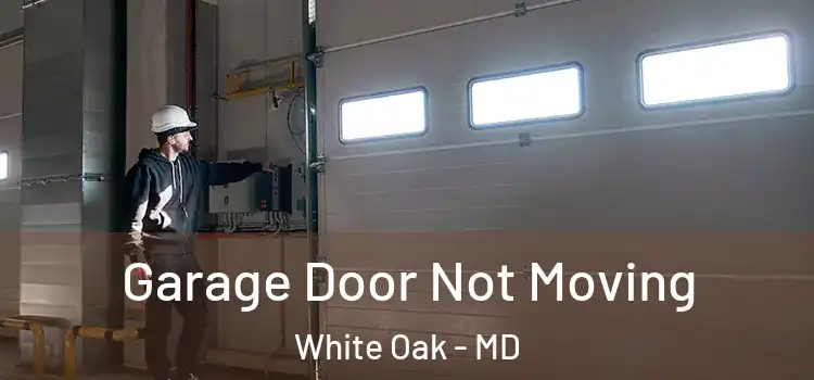  Garage Door Not Moving White Oak - MD