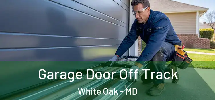  Garage Door Off Track White Oak - MD