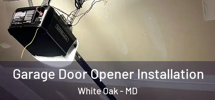  Garage Door Opener Installation White Oak - MD