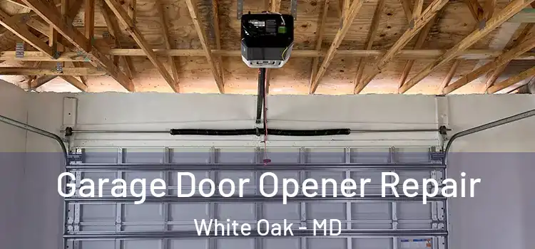  Garage Door Opener Repair White Oak - MD