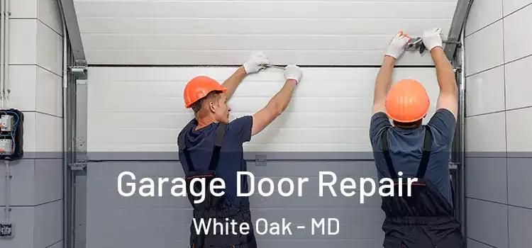  Garage Door Repair White Oak - MD