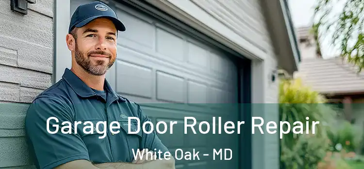  Garage Door Roller Repair White Oak - MD