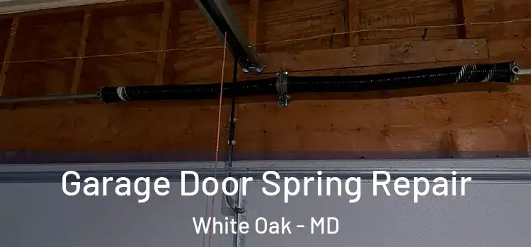  Garage Door Spring Repair White Oak - MD