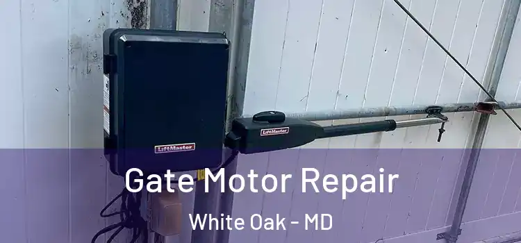Gate Motor Repair White Oak - MD