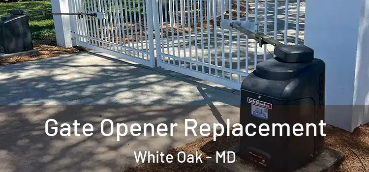 Gate Opener Replacement White Oak - MD
