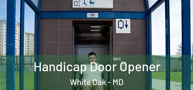 Handicap Door Opener White Oak - MD