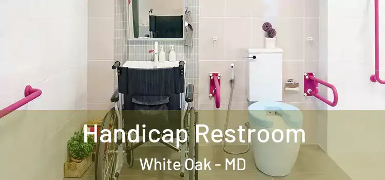  Handicap Restroom White Oak - MD