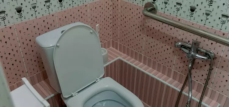 Meeting Diverse Needs With Accessible Restroom Solutions in White Oak, MD