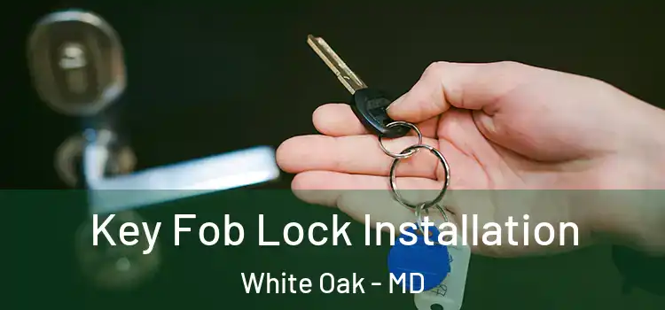 Key Fob Lock Installation White Oak - MD