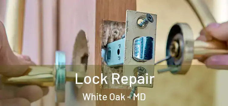  Lock Repair White Oak - MD