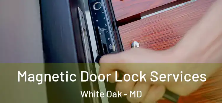 Magnetic Door Lock Services White Oak - MD