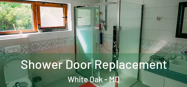 Shower Door Replacement White Oak - MD