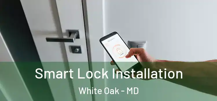 Smart Lock Installation White Oak - MD