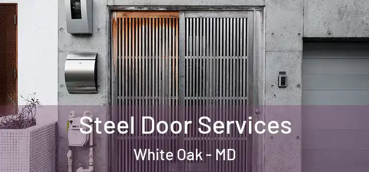 Steel Door Services White Oak - MD